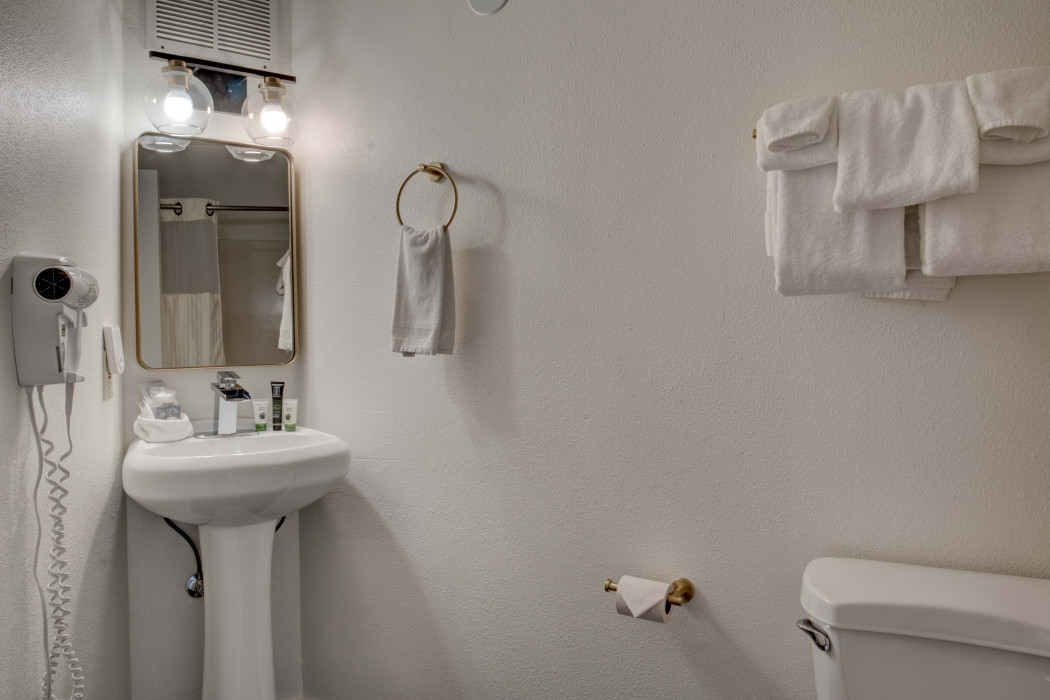 King Balcony Ocean View Pet Bathroom