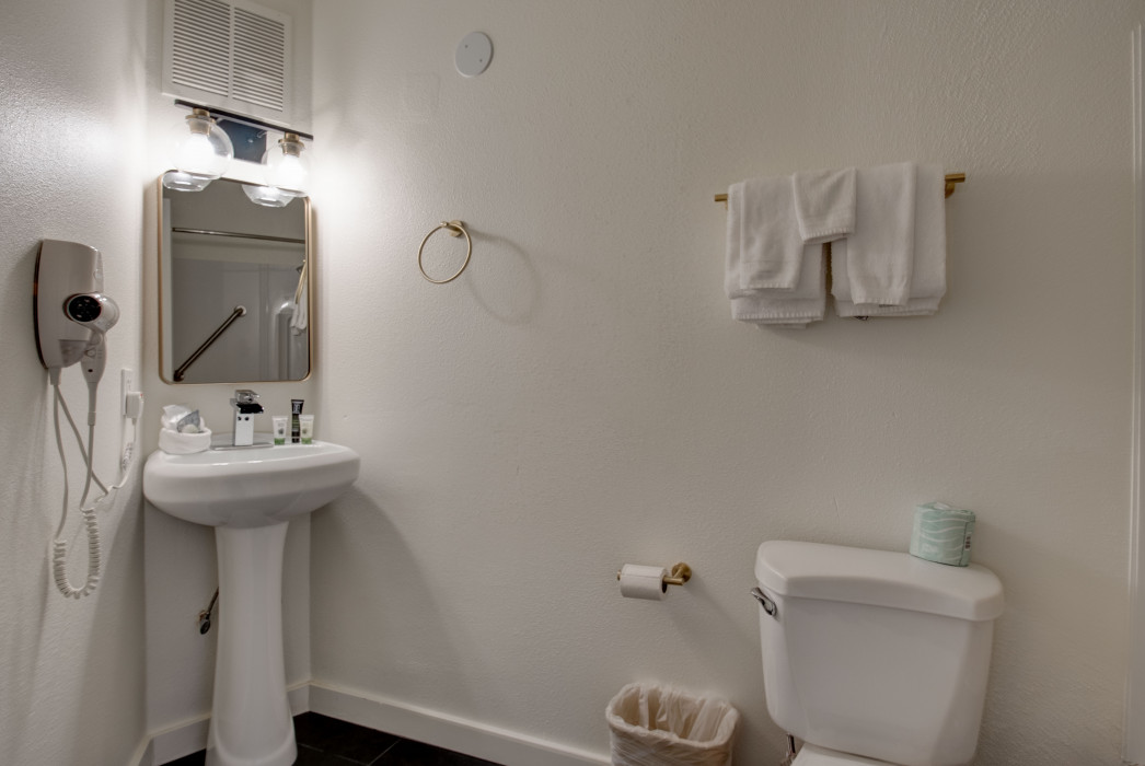 Two Queen Balcony Ocean View Pet Bathroom